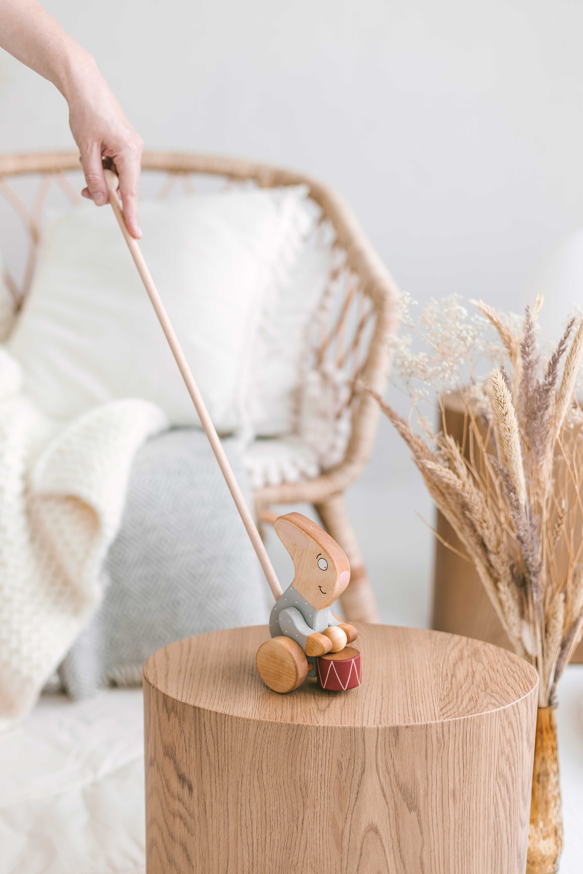 Le Lapin en bois à pousser
