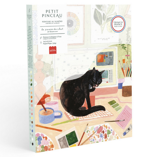 Coffret peinture au numéro La pause du chat