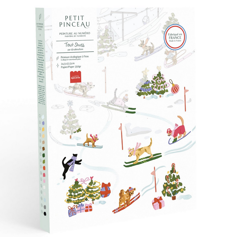 Coffret peinture au numéro Tout Shuss