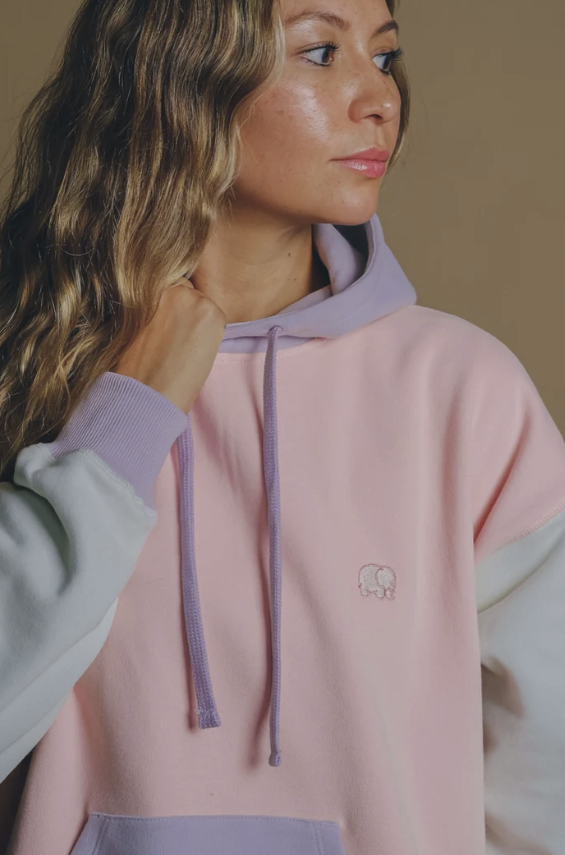 hoodie sweat capuche colorbloc pastel